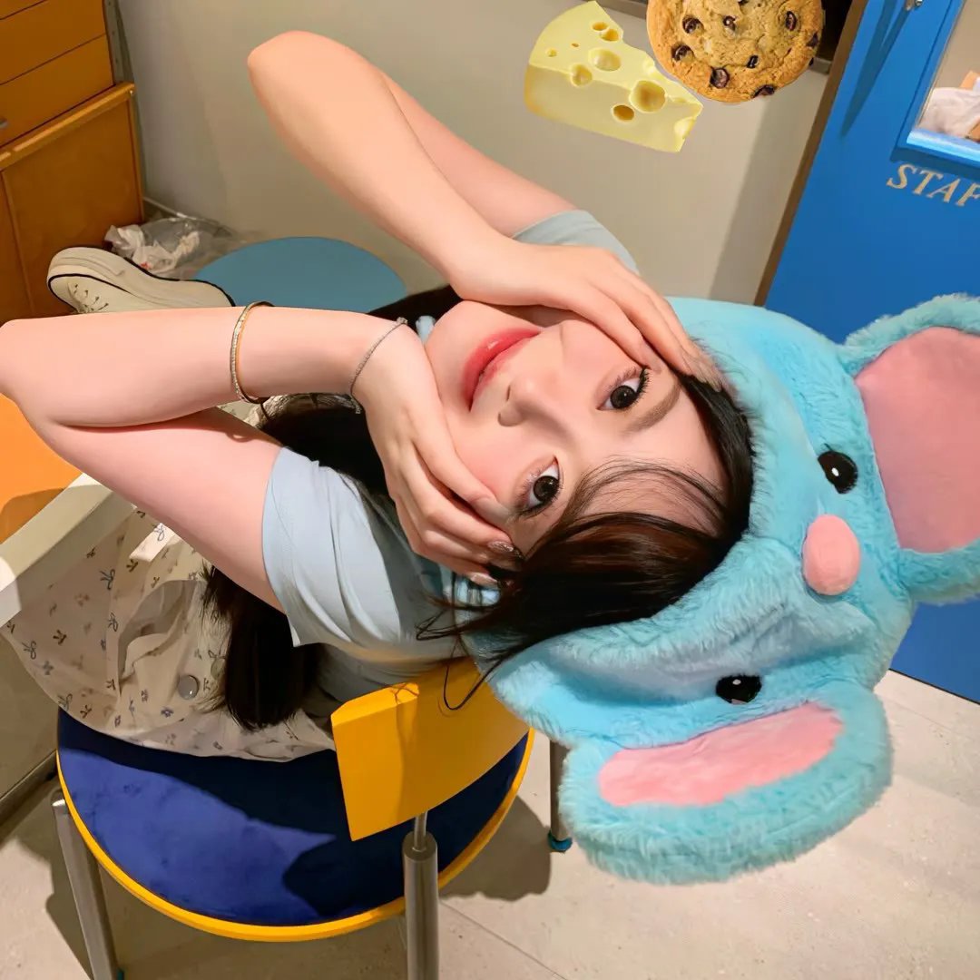 什么鸟日子