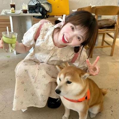 我美之梦